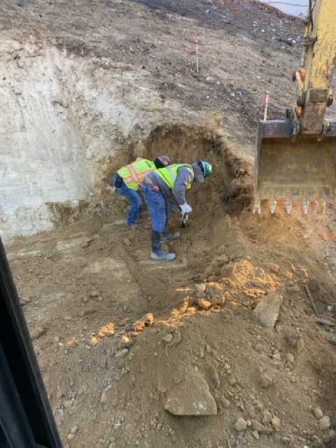 25026 – 1.12.26 – 2 Medium